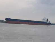 بلک کیریئر فروخت کے لئے