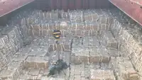 بلک کیریئر فروخت کے لیے