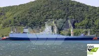 Ro-Ro ship فروخت کے لئے