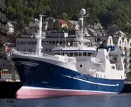 Purse seiner فروخت کے لئے