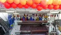 پرس سینر فروخت کے لیے