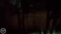 ٹراولر فروخت کے لیے