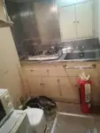 پٹرول بوت فروخت کے لیے