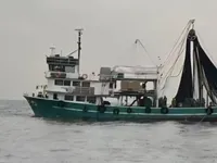پرس سینر فروخت کے لیے