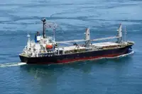 بلک کیریئر فروخت کے لئے