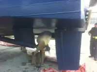 عملے کی کشتی فروخت کے لیے