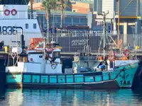Purse seiner فروخت کے لئے