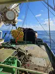 Purse seiner فروخت کے لئے