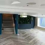کروز فیری فروخت کے لیے