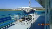 Ro-Ro ship فروخت کے لئے