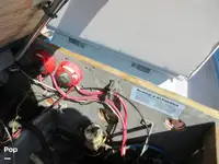 کروز فیری فروخت کے لیے