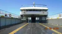 Ro-Ro ship فروخت کے لئے