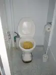 لانگ لائنر فروخت کے لیے