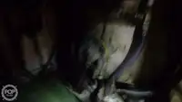 ٹراولر فروخت کے لیے