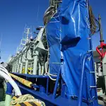 Purse seiner فروخت کے لئے