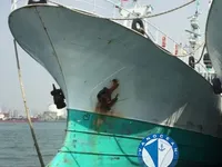 لانگ لائنر فروخت کے لیے