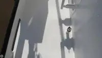 ٹراولر فروخت کے لیے