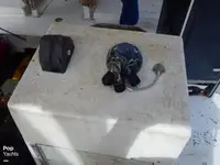 ٹراولر فروخت کے لیے