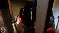 ٹراولر فروخت کے لیے