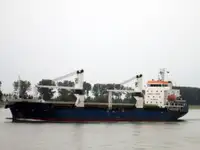 بلک کیریئر فروخت کے لئے