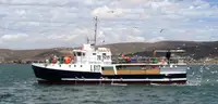 Purse seiner فروخت کے لئے
