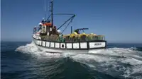 Trawler فروخت کے لئے