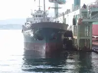 بلک کیریئر فروخت کے لئے