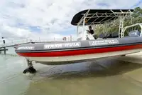 ایمفیبیئس فروخت کے لیے