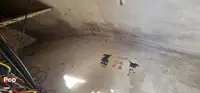 ڈائیو سپورٹ فروخت کے لیے
