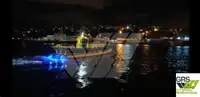 ونڈ فارم سروس ویزل فروخت کے لیے