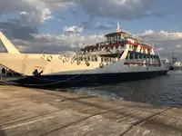 Ro-Ro ship فروخت کے لئے