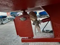 کٹر فروخت کے لیے