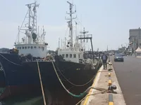 ٹراولر فروخت کے لیے