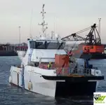 ونڈ فارم سروس ویزل فروخت کے لیے