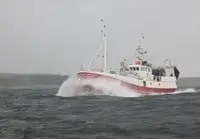 Trawler فروخت کے لئے