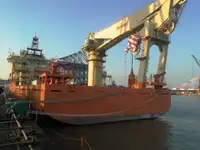 بلک کیریئر فروخت کے لئے