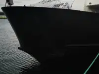 رو-رو جہاز فروخت کے لیے
