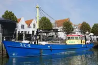 Trawler فروخت کے لئے