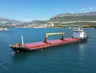 بلک کیریئر فروخت کے لئے