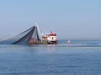 بحری جہاز فروخت کے لیے