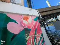 کروز فیری فروخت کے لیے