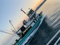 پرس سینر فروخت کے لیے