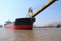 بلک کیریئر فروخت کے لئے