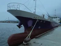 General Cargo/Multi-purpose فروخت کے لیے