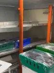 کروز فیری فروخت کے لیے