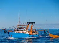 Trawler فروخت کے لئے