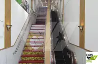 Ro-Ro ship فروخت کے لئے
