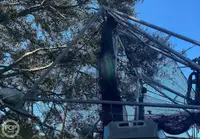 ٹراولر فروخت کے لیے