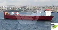 Ro-Ro ship فروخت کے لئے