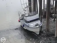 لانگ لائنر فروخت کے لیے
